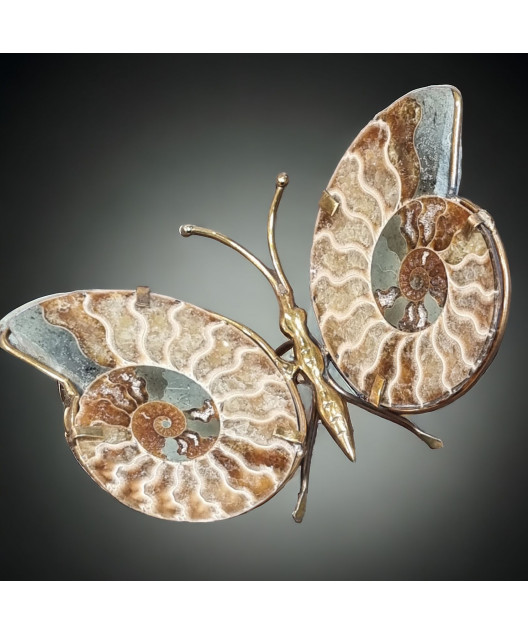 Papillon Ammonite corps laiton Taille XL