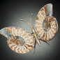 Papillon Ammonite corps laiton Taille XL