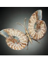 Papillon Ammonite corps laiton Taille XL