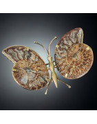 Papillon Ammonite corps laiton Taille XXL
