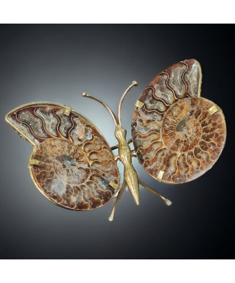 Papillon Ammonite corps laiton Taille XXL