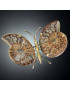 Papillon Ammonite corps laiton Taille XXL