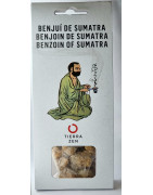 Encens Benjoin de Sumatra avec Charbon