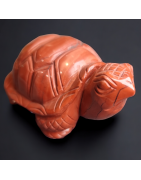 Tortue Jaspe rouge