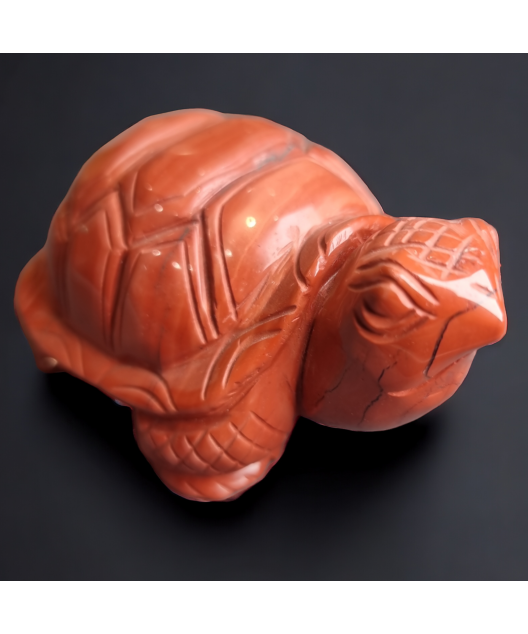 Tortue Jaspe rouge
