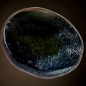 Galet Tourmaline noire (s)