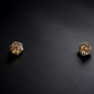 Boucles Zirconium multicolore