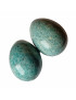 Œuf Amazonite