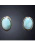 Boucles d'oreilles Larimar ovales Argent 925