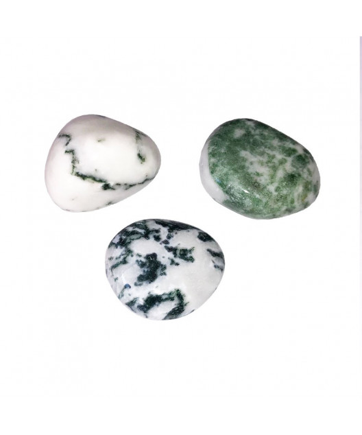 Pierre roulée Agate arbre