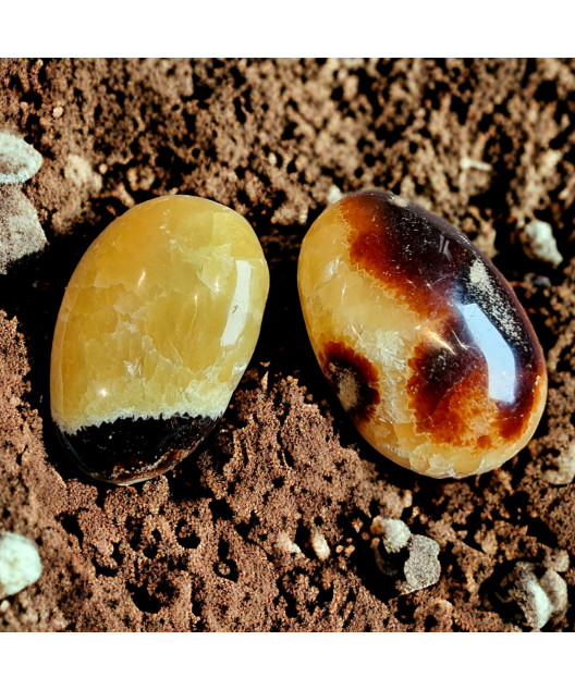 Galet Septaria
