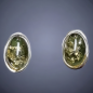 Boucles Ambre végétal Ovales Argent 925