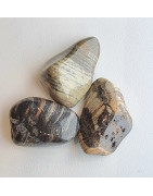 Pierre roulée Jaspe feuille d'argent