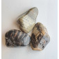 Pierre roulée Jaspe feuille d'argent