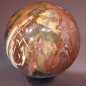 Boule Bois fossilisé