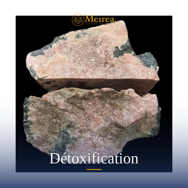 Détoxification | Physique | Meirea