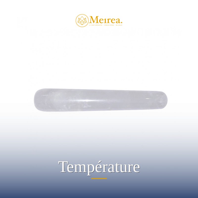 Température | Physique | Meirea