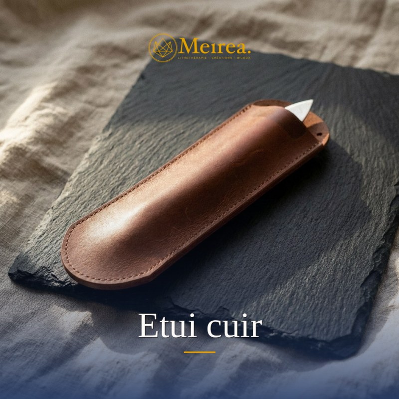 Etui cuir
