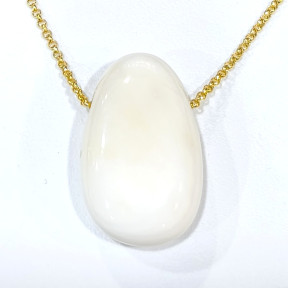 Pendentif Coquille de Bénitier ( Tricdane Géant) sur Chaîne Plaquée or 42 + 5 cm