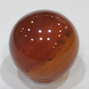 Bille Cornaline 16mm