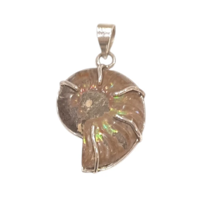 Pendentif Ammonite Côté Gauche Argent 925